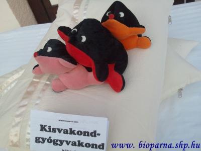 kisvakond-gyogyvakond_1_t1.jpg